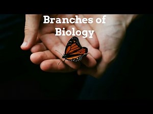 Branches of Biology | Bioengineering, Biogeography, Bioinformatics,Biomathmatics, Biophysics |