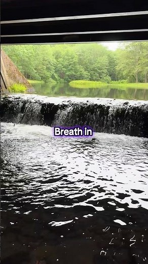 Quick Reset: Breathe, Recenter, Refocus 🌿✨