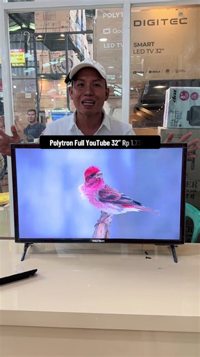 Polytron 32” Smart TV: Prices and Recommendations