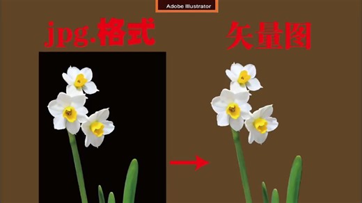 Ai如何将JPG照片变为矢量图 #平面设计 #logo设计 #Ai零基础入门教程 #Ai插画 #Ai小技巧