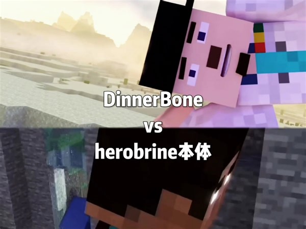 DinnerBone vs herobrine