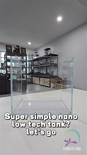 Beginner's Guide to Setting Up a Low-Tech Nano Tank | YL Aquatic Studio