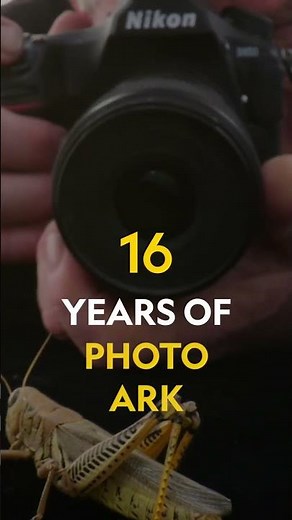 Today, the National Geographic #PhotoArk turns 16! #Shorts