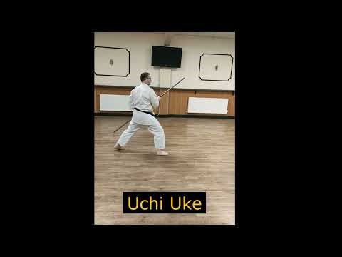 Bo Basics (Go,Go,Go)