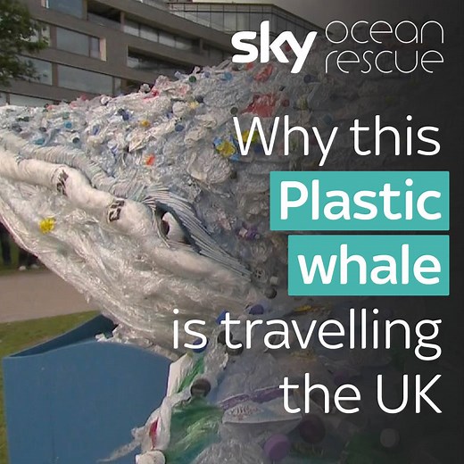 This 10-metre whale made from plastic bags, bottles and straws just started a journey across the UK - follow the whale's journey on the Sky Ocean Rescue page | Sky News