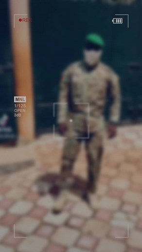 Military Camouflage Push-Up Workout Demonstration