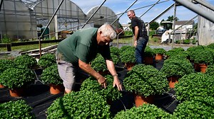 Bart's Flowers in Delran is a blooming success in Burlington County
