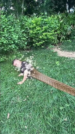 Transform into a python using magic！#funny #magic #laugh #comedy