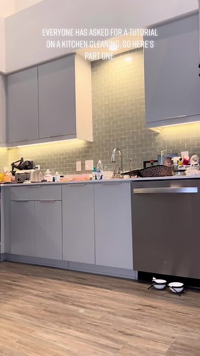 Boss Lady Kitchen Cleaning Guide: Part 1