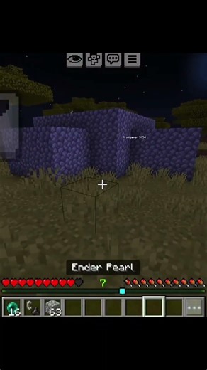 Minecraft Trap Challenge 🪤