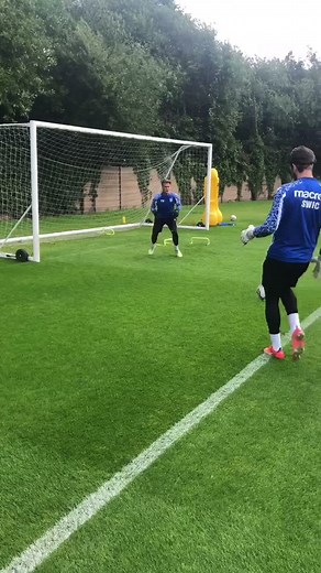 Exploring Owls' Goalkeeper Training