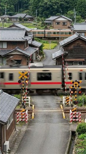 Unique Japanese Railroad Crossing with Unusual Track Layout