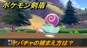 ポケモン剣盾　ヤバチャの出現場所は？オススメの場所は？天気は？ポケモン図鑑コンプへの道！　最新版【ポケモンソード・シールド】