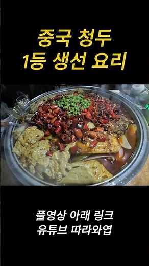 중국 청두 1등 생선 요리 #중국 #맛집 #vlog #중국vlog #중국여행 #맛집 #세계여행 #음식 #유튜버 #청두 #청두여행 #shorts