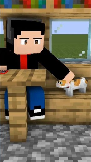 When your Cat wants attention Minecraft Animation