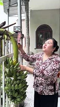 Chỉ vì miếng ăn #chitidi #giaitri #haihuoc #funny #windnet