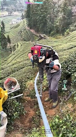 Trimming Tea Terraces: How Modern Tools Revive Ancient Farming