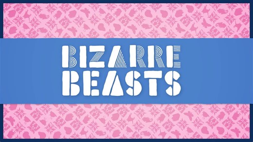 Bizarre beasts