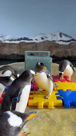 Kansas City Zoo & Aquarium on Reels