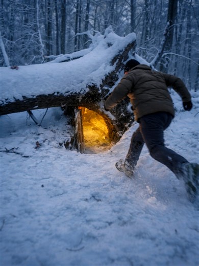 Building a Cozy Shelter Under a Fallen Tree