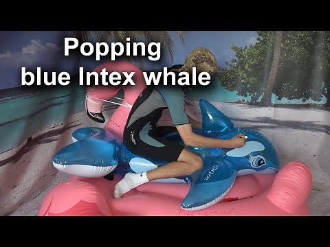 Popping a Blue Intex Orca: The Ultimate Test