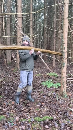 I Tired Living in the Woods for a Day #bushcraft #outdoorskills #shelterbuilding