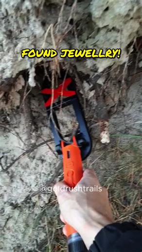 The Ultimate Guide to Metal Detecting in the United States