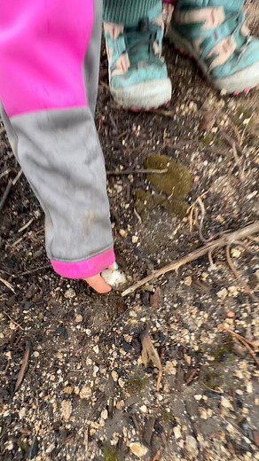 How Do We Find So Many Crystals? The truth is sometimes we don’t find any… Like this rainy day we hiked for hours and didn’t find a single crystal so the kids decided to wave the rock hammer over the ground like a radar. They were chanting come on Crystal Dar, and it worked! Faith is a powerful skill to possess 🥰 #reels #crystals | The Crystal Hunters