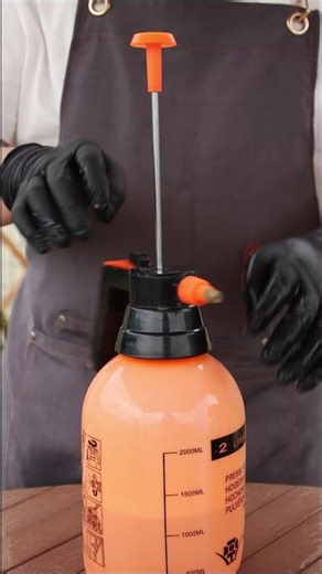 Powdery Mildew on Your Zucchini? This Organic Spray Actually Works