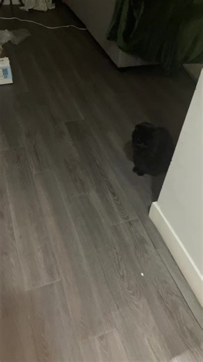 🍎🍇🍓 (@feline_fine_)’s videos with Cupid - Twin Ver. (FIFTY FIFTY) (Sped Up Version) - FIFTY FIFTY