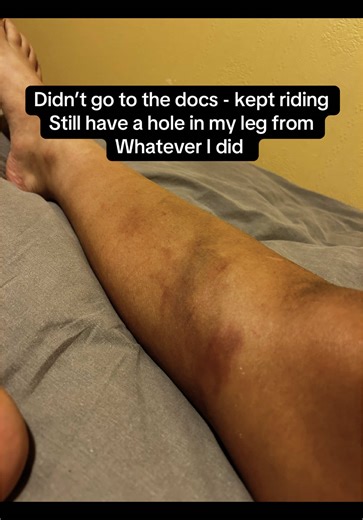 Rehoming Thoroughbreds: Lessons in Horse Training