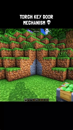 LixCH on Instagram: "TORCH KEY DOOR MECHANISM💀 #minecraft #minecraftreaction #fyp #viral #usa"