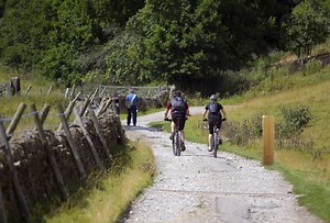 Five best practices for monitoring park visitation with count data - Eco-Counter