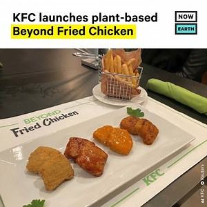 249K views · 277 reactions | You can now try Beyond Fried Chicken at...