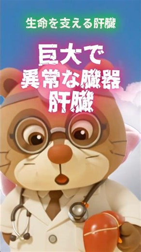 生命を支える肝臓② 巨大で異常な臓器、肝臓 #肝臓 #内臓 #沈黙の臓器 #健康知識 #雑学 #shorts