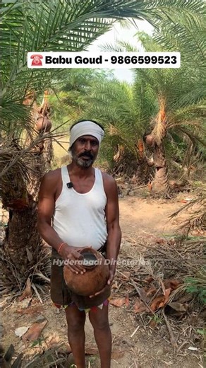 Authentic Toddy Experience in Thumkunta | Neera, Kallu & Eetha Kallu Available!