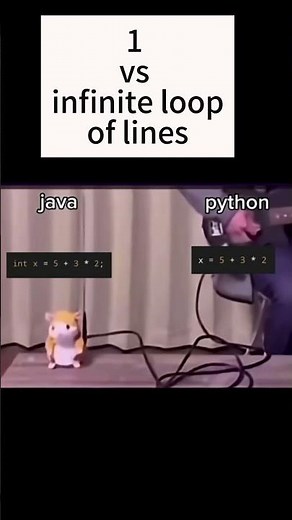 interpreted vs compiled language #coding #programming #javascript #python
