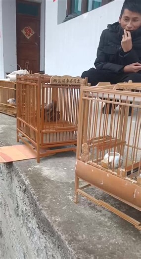 最新视频已上线，快来围观！