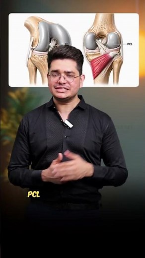 Knee Ligaments Explained: ACL, PCL, MCL, LCL & Meniscus Functions