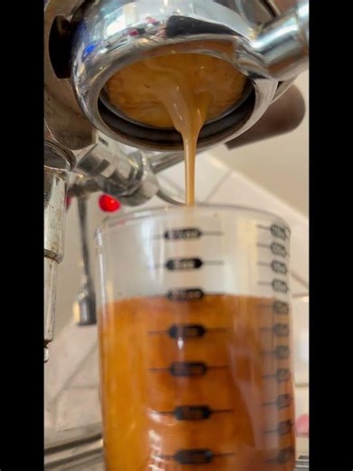 Home Latte with Expobar Brewtus IV