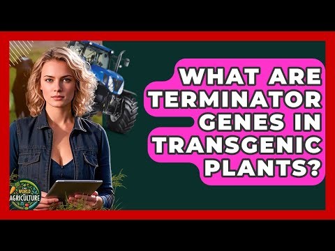 What Are Terminator Genes In Transgenic Plants? - The World of Agriculture