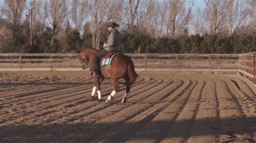Teaching your horse how to do a rollback is a 𝗻𝗼𝗻-𝗻𝗲𝗴𝗼𝘁𝗶𝗮𝗯𝗹𝗲 𝘀𝗸𝗶𝗹𝗹 for any performance horse competitor. Ride TV coach Ryan Rushing breaks down how he schools the maneuver. Follow along as Ryan Rushing Performance Horses walks you through the 𝐬𝐭𝐞𝐩𝐬 𝐭𝐨 𝐦𝐚𝐬𝐭𝐞𝐫 𝐭𝐡𝐞 𝐫𝐨𝐥𝐥𝐛𝐚𝐜𝐤 - https://bit.ly/3EdZ9bT | Horse & Rider Magazine