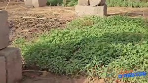 397K views · 7.2K reactions |  Ce jeune Burkinabé réalise une pisciculture moderne intégrée à l'agriculture Des dortoirs y ont été prévus pour les travailleurs | Réseau des Jeunes Entrepreneurs pour le Développement du Burkina Faso | Facebook