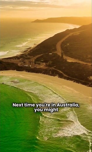 Australia’s Dingo Fence: The World’s Longest Barrier!