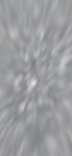 Dynamic Acrobatic Stunts by Young Performers