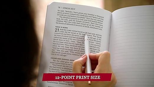 NKJV Bible Journals - Complete Bible Box Set: Holy Bible, New King James Version