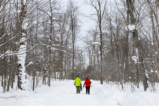 Make time to play in the snow: Add these snowshoe hikes to your U.P. winter bucket list