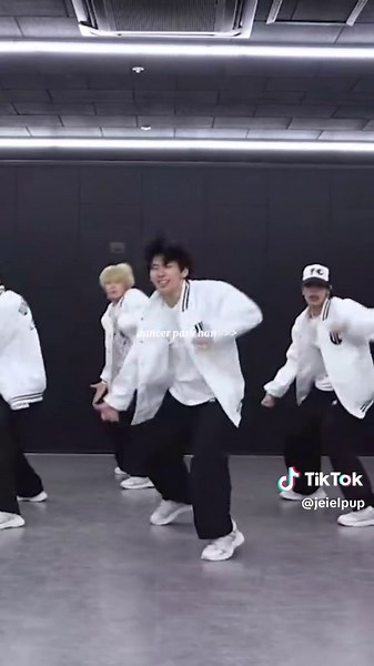 Park Han Dance Compilation: Watch Hannie's Moves!