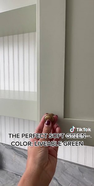 #laundry #laundryroom #greencolor #softgreen #housecolor #paint #greenpaint #transitionalkitchen #transitonaldesign