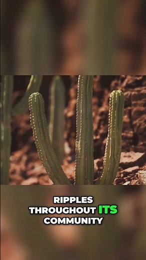 Seed Dispersal: How Animals Spread Plant Life #shorts